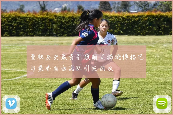 曼联历史最贵引援前五揭晓博格巴与桑乔自由离队引发热议