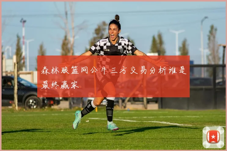 森林狼篮网公牛三方交易分析谁是最终赢家